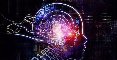 人工智能應用軟件開發(fā) 當科技浪潮遇上輿論漩渦，賈躍亭現(xiàn)象引發(fā)的行業(yè)思考